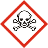 TOTENKOPF MIT GEKREUZTEN KNOCHEN